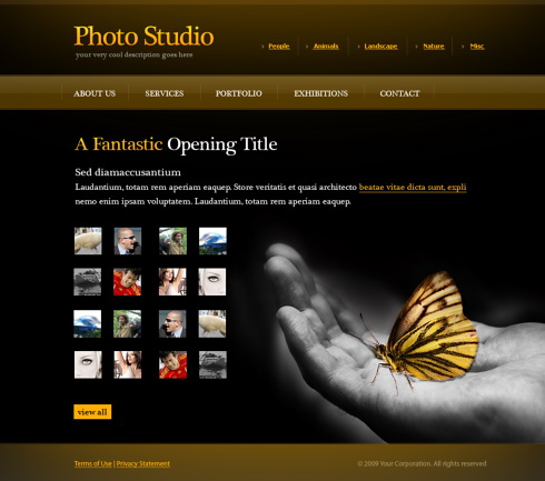 Photo Gallery Web Template 6072 Art Photography Website