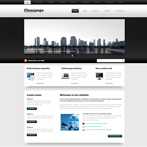 website themes