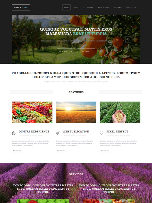 Plantation HTML Template - Agriculture & Farming - Website Templates ...