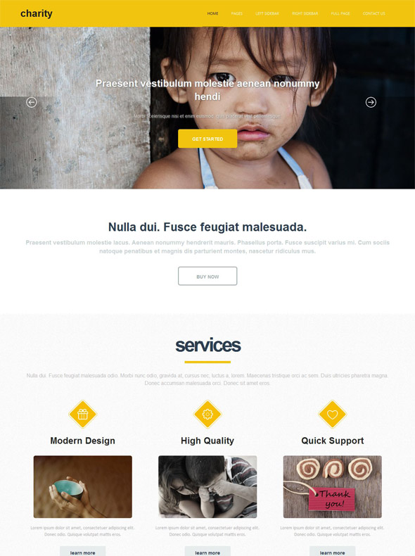 Charity Website Template Charity Website Templates DreamTemplate