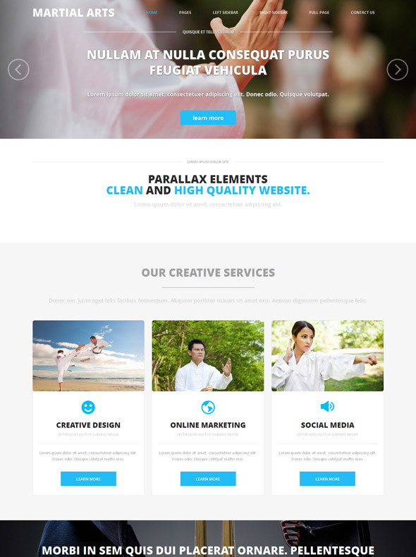 Martial Arts Web Template - Martial Arts - Website Templates