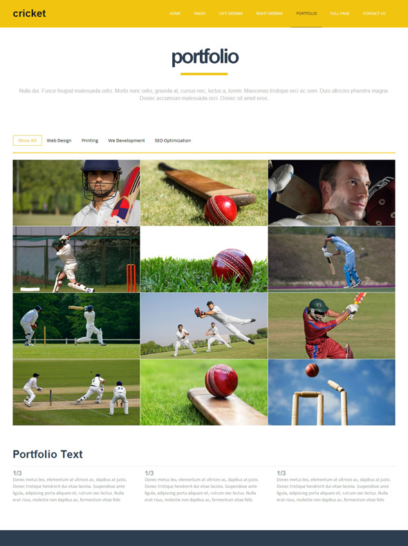 Cricket Site Template Cricket Website Templates DreamTemplate
