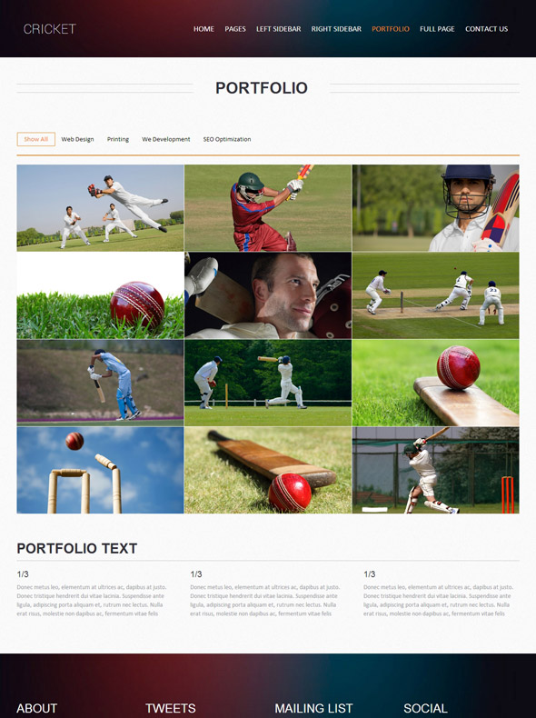 Cricket Web Template Cricket Website Templates DreamTemplate