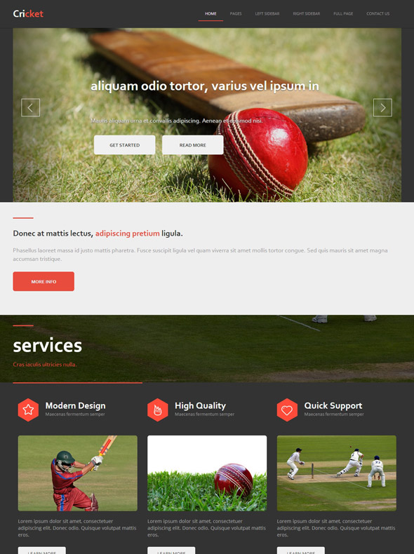 Cricket Site Template Cricket Website Templates DreamTemplate