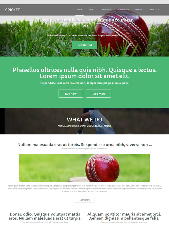 Cricket Website Template Cricket Website Templates DreamTemplate