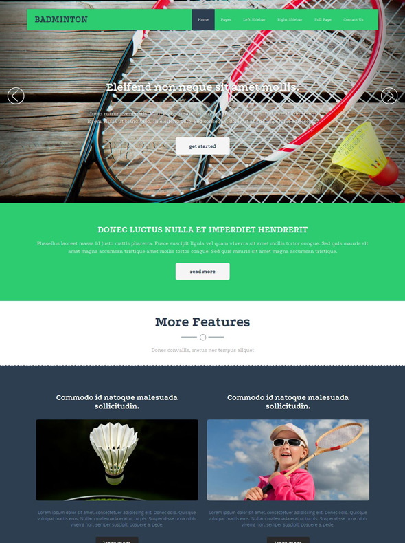 Siësta Beleefd schrobben Badminton Tips Website Template - Badminton - Sports - DreamTemplate
