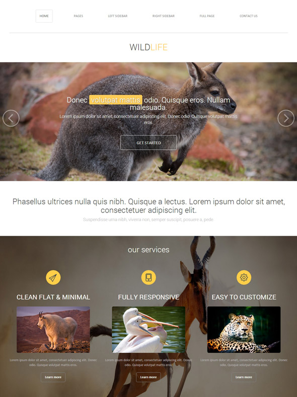 Wild Animal Web Template - Wildlife - Animals & Pets - DreamTemplate