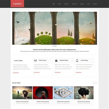 Responsive Website Templates - Pro Website Templates - DreamTemplate