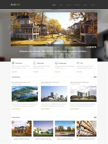 Pro Website Templates DreamTemplate