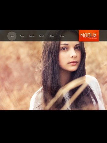 Pro Website Templates DreamTemplate