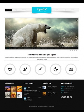 Pro Website Templates DreamTemplate