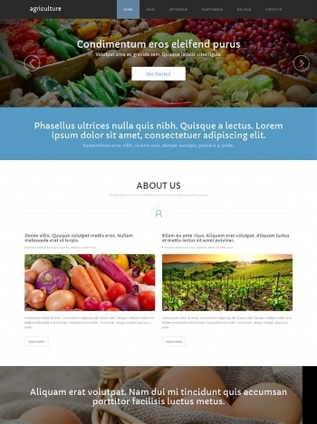 Agriculture & Farming - Website Templates - DreamTemplate