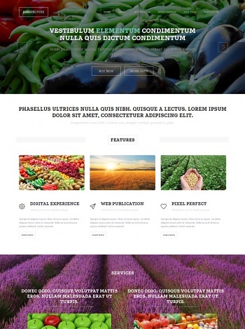 Agriculture & Farming - Website Templates - DreamTemplate