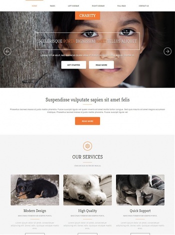 Charity Website Templates DreamTemplate