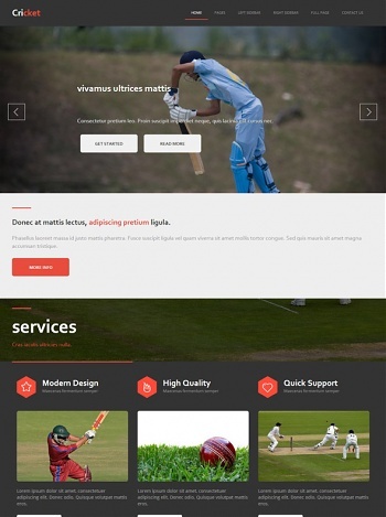 Cricket Website Templates DreamTemplate Cricket Website Templates DreamTemplate