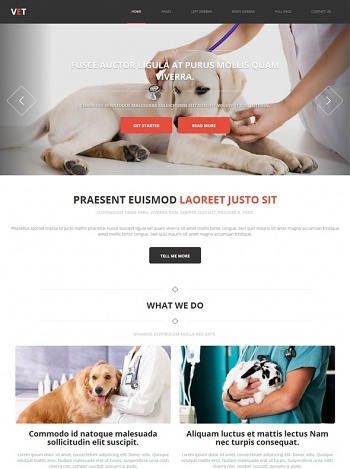 Veterinary Website Templates DreamTemplate Veterinary Website Templates DreamTemplate