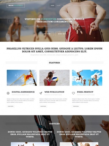 arete volleyball website
