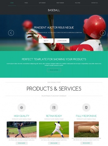 Baseball - Sports - Website Templates - DreamTemplate