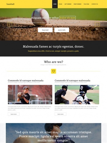 Baseball - Sports - Website Templates - DreamTemplate