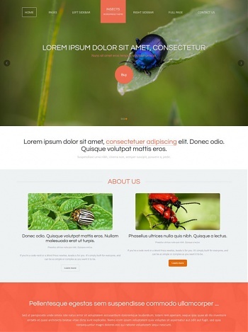 Insects - Animals & Pets - Website Templates - DreamTemplate