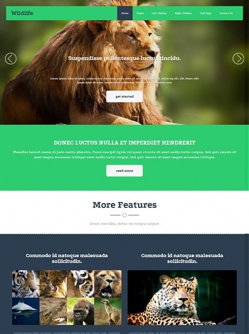 Animals & Pets - Website Templates - DreamTemplate