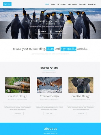 Wildlife - Animals & Pets - Website Templates - DreamTemplate