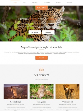 Wildlife - Animals & Pets - Website Templates - DreamTemplate