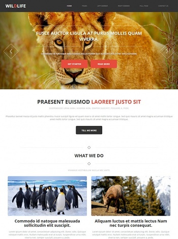 Wildlife - Animals & Pets - Website Templates - DreamTemplate