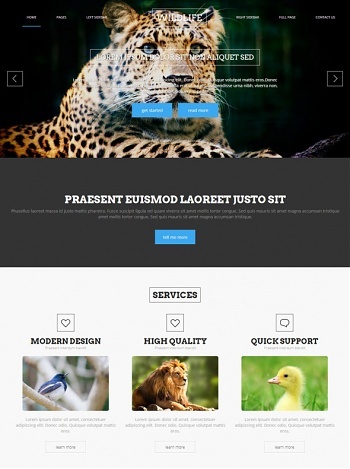 Wildlife - Animals & Pets - Website Templates - DreamTemplate