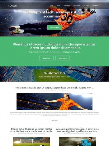 Soccer - Sports - Website Templates - DreamTemplate